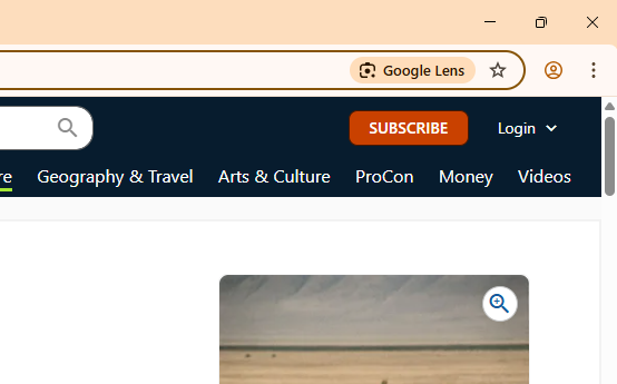 google lens at address bar screenshot