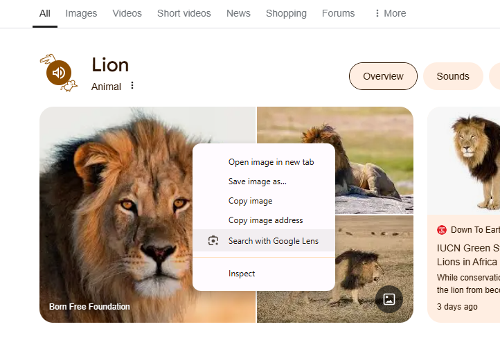google lens image search at right click screenshot